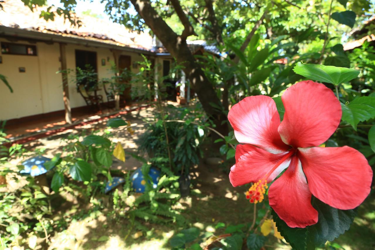 Casa De Los Berrios Leon Bagian luar foto